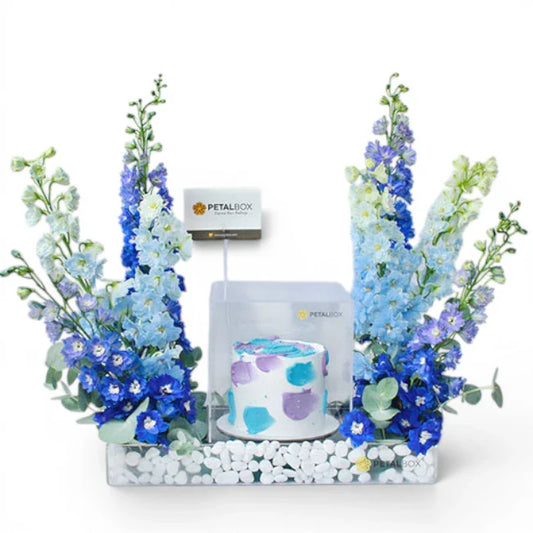 Delphinium Cake Duo